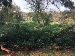 #277 - Área para Venda em Morro Reuter - RS - 2