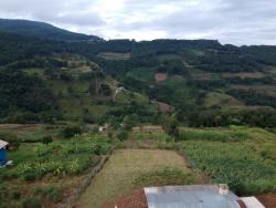 #284 - Terreno para Venda em Morro Reuter - RS - 1