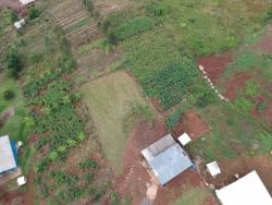 #284 - Terreno para Venda em Morro Reuter - RS - 2