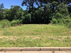 #304 - Área para Venda em Morro Reuter - RS - 1