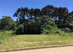 #304 - Área para Venda em Morro Reuter - RS - 3