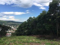 #313 - Área para Venda em Morro Reuter - RS - 2