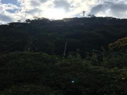 #313 - Área para Venda em Morro Reuter - RS - 3