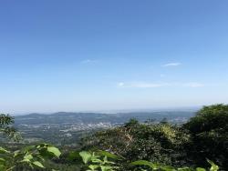 #317 - Área para Venda em Morro Reuter - RS - 1