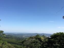 #317 - Área para Venda em Morro Reuter - RS - 2