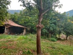 Chácara para Venda em Morro Reuter - 5