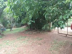 Chácara para Venda em Morro Reuter - 4