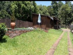 #319 - Casa para Venda em Morro Reuter - RS - 3