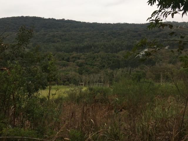 Venda em Padre Eterno Baixo - Santa Maria do Herval