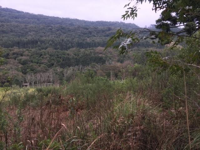 #335 - Terreno para Venda em Santa Maria do Herval - RS - 2