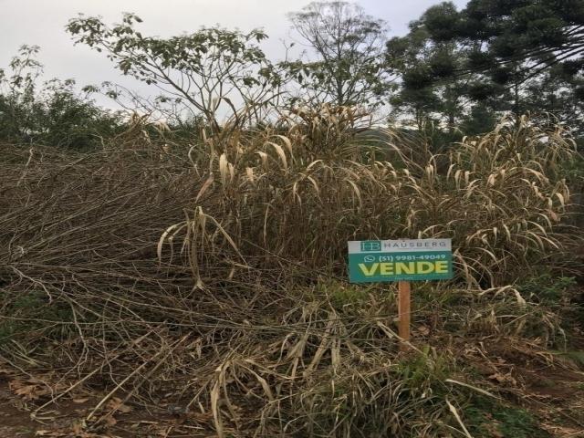 Terreno para Venda em Santa Maria do Herval - 4