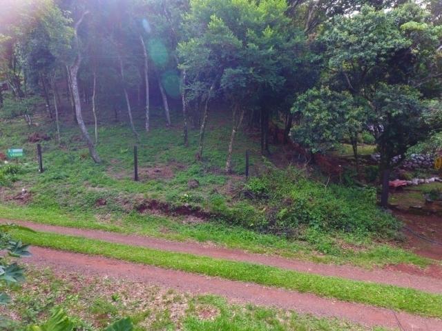 #366 - Área para Venda em Morro Reuter - RS - 2