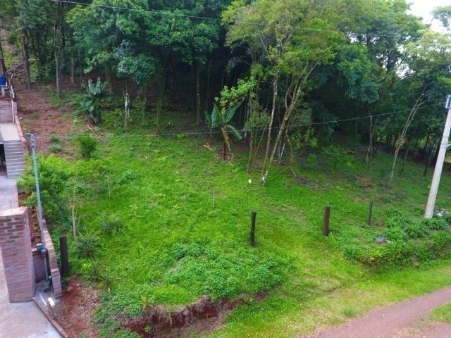 #366 - Área para Venda em Morro Reuter - RS - 1
