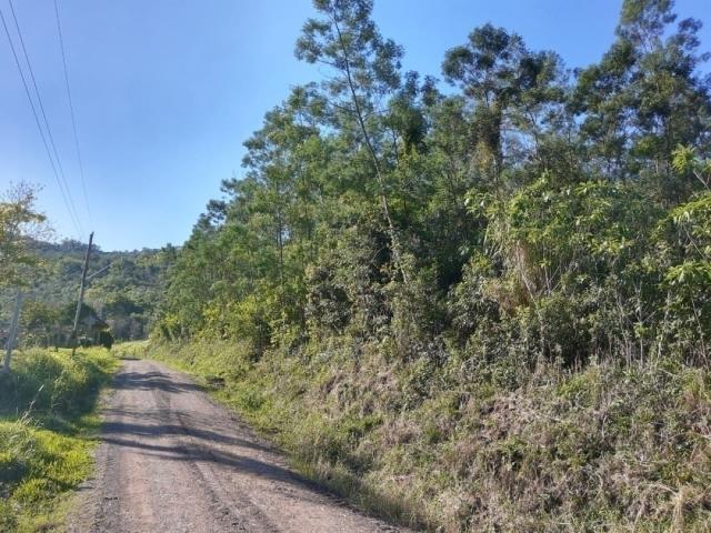 #370 - Chácara para Venda em Morro Reuter - RS - 1