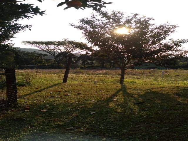 #371 - Área para Venda em Morro Reuter - RS - 3