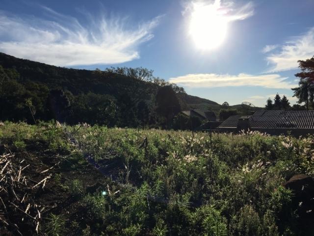 #371 - Área para Venda em Morro Reuter - RS - 1
