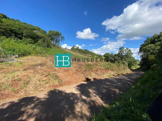 Terreno para Venda em Morro Reuter - 4