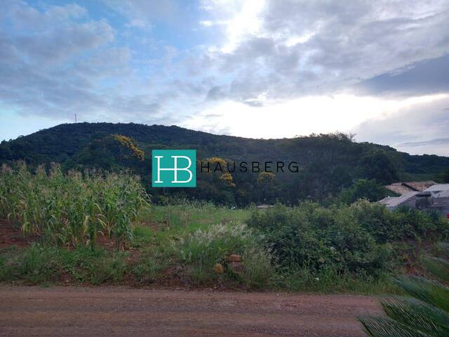 #380 - Área para Venda em Morro Reuter - RS - 3