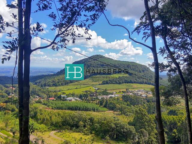 #381 - Área para Venda em Morro Reuter - RS - 3