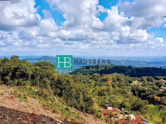 #381 - Área para Venda em Morro Reuter - RS - 2