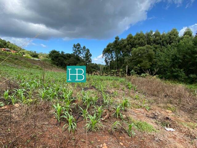 Terreno para Venda em Morro Reuter - 5