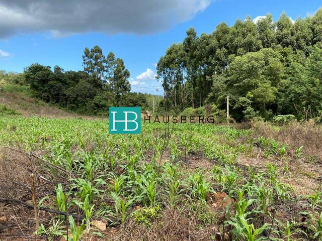 #379 - Terreno para Venda em Morro Reuter - RS - 3