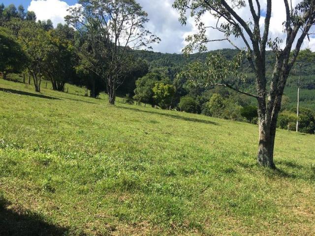 Chácara para Venda em Morro Reuter - 4