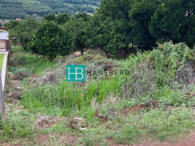 Área para Venda em Santa Maria do Herval - 5