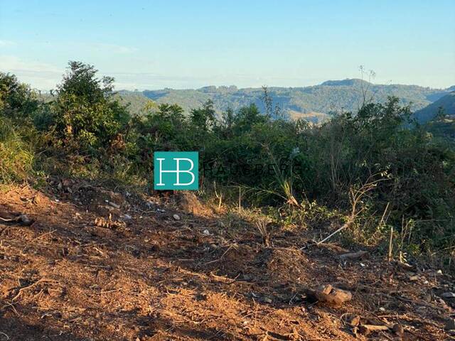 Área para Venda em Santa Maria do Herval - 4