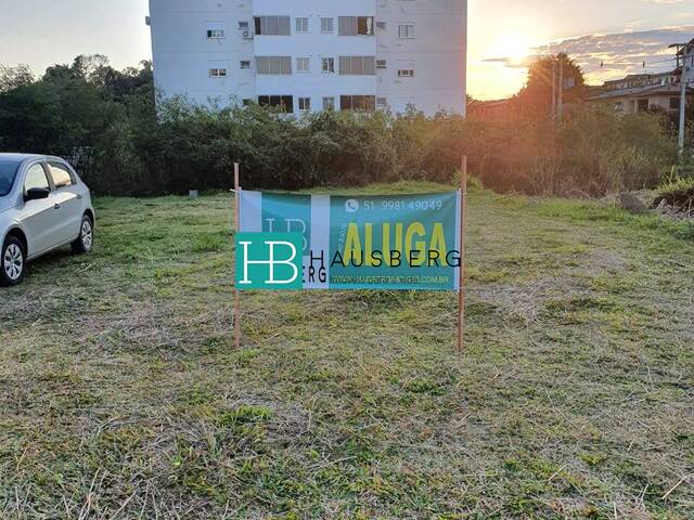 Terreno para Venda em Dois Irmãos - 4