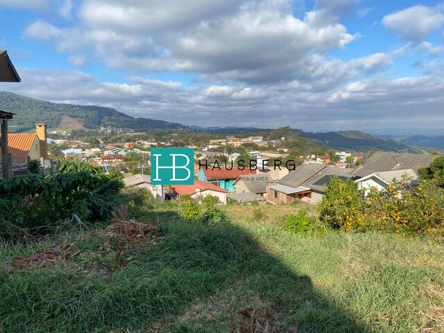 #408 - Terreno para Venda em Morro Reuter - RS - 3