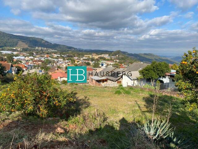 #408 - Terreno para Venda em Morro Reuter - RS - 2