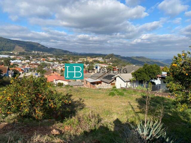 Terreno para Venda em Morro Reuter - 5
