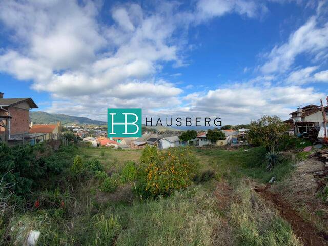 #408 - Terreno para Venda em Morro Reuter - RS - 1