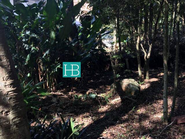 Terreno para Venda em Morro Reuter - 5