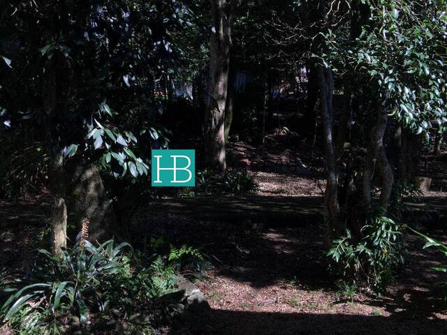 #256 - Terreno para Venda em Morro Reuter - RS - 3