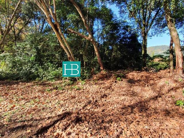 #410 - Área para Venda em Morro Reuter - RS - 2