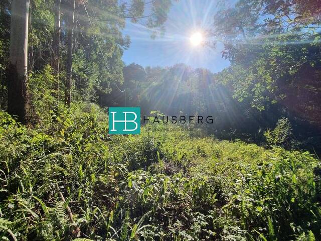 #410 - Área para Venda em Morro Reuter - RS - 3