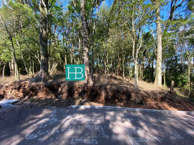 #419 - Área para Venda em Morro Reuter - RS - 1