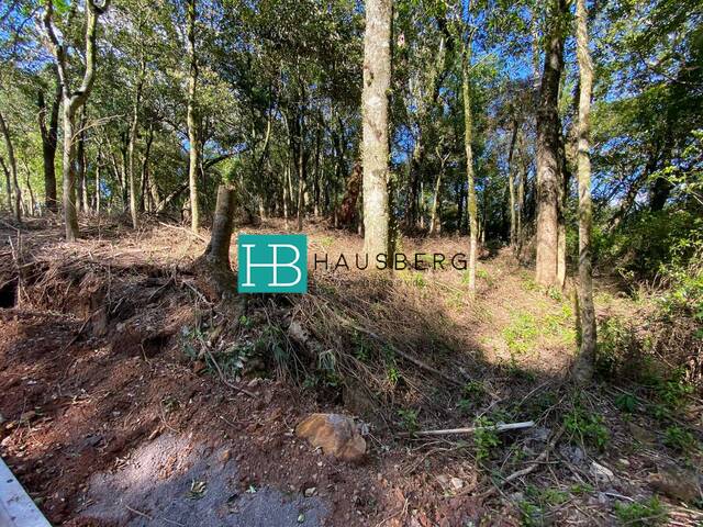 #419 - Área para Venda em Morro Reuter - RS - 3
