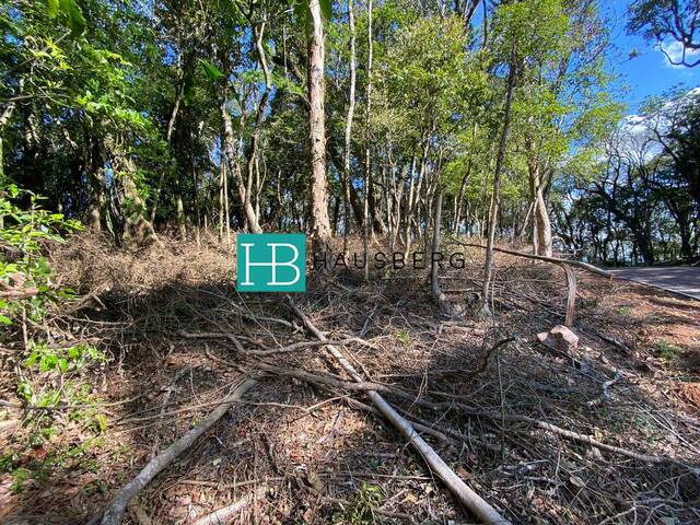 Área para Venda em Morro Reuter - 5