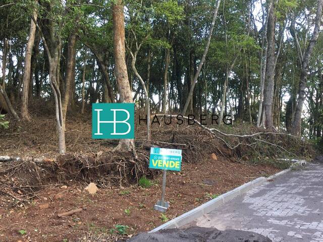 #419 - Área para Venda em Morro Reuter - RS - 2