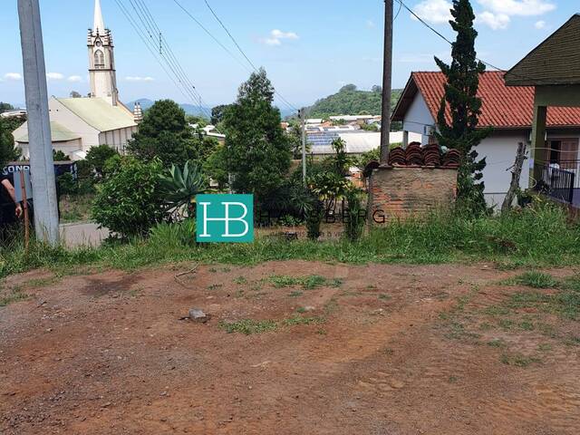 #420 - Terreno para Venda em Morro Reuter - RS - 2