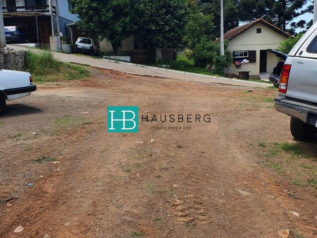 Terreno para Venda em Morro Reuter - 5