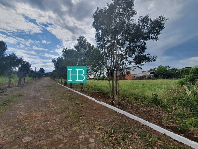 Terreno para Venda em Morro Reuter - 4