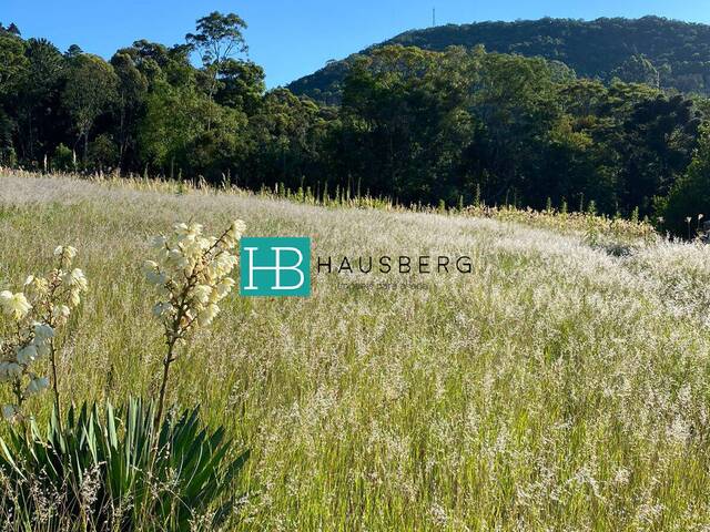 #425 - Terreno para Venda em Morro Reuter - RS - 2