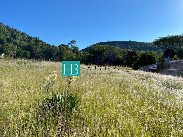 #425 - Terreno para Venda em Morro Reuter - RS - 3