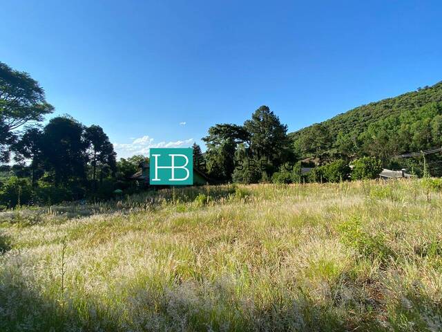 Terreno para Venda em Morro Reuter - 5