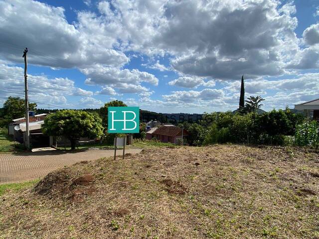 #429 - Área para Venda em Morro Reuter - RS - 1