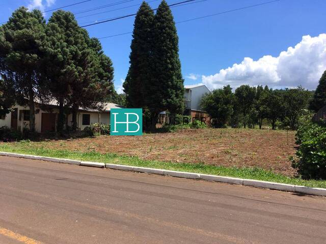 #436 - Área para Venda em Morro Reuter - RS - 1